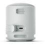 Haut-parleurs bluetooth portables Sony SRSXB100H Gris