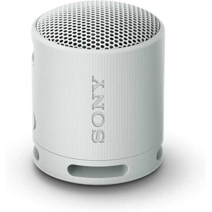 Sony SRS-XB100 Gris