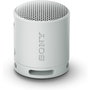 Haut-parleurs bluetooth portables Sony SRSXB100H Gris