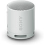 Haut-parleurs bluetooth portables Sony SRSXB100H Gris