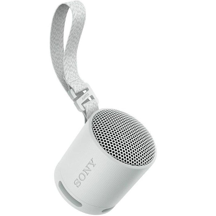 Sony SRS-XB100 Gris
