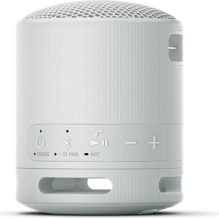 Sony SRS-XB100 Gris