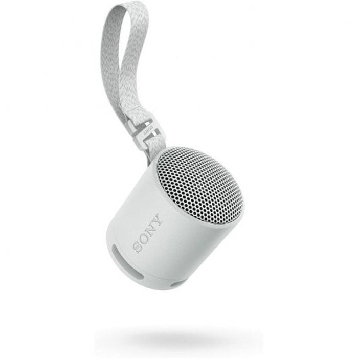 Sony SRS-XB100 Gris