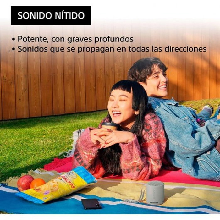 Sony SRS-XB100 Gris