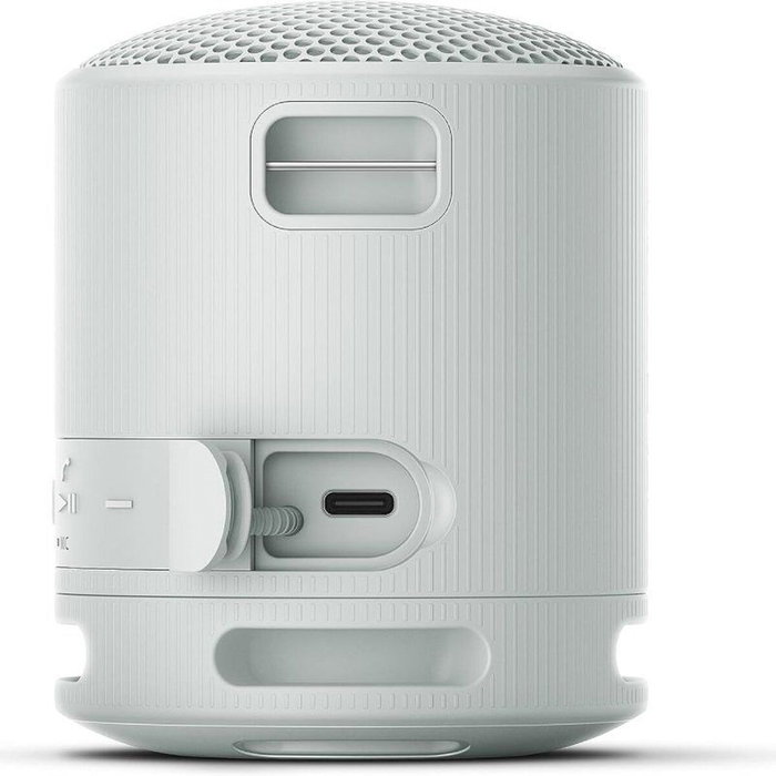 Sony SRS-XB100 Gris