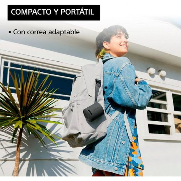 Sony SRS-XB100 Gris