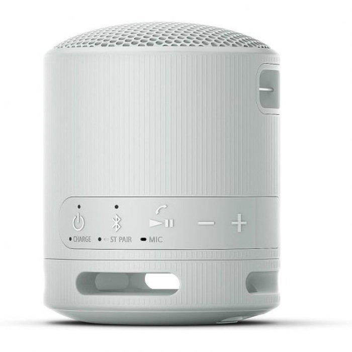 Sony SRS-XB100 Gris