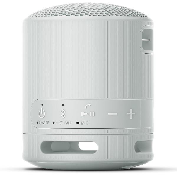 Haut-parleurs bluetooth portables Sony SRSXB100H.CE7 Gris