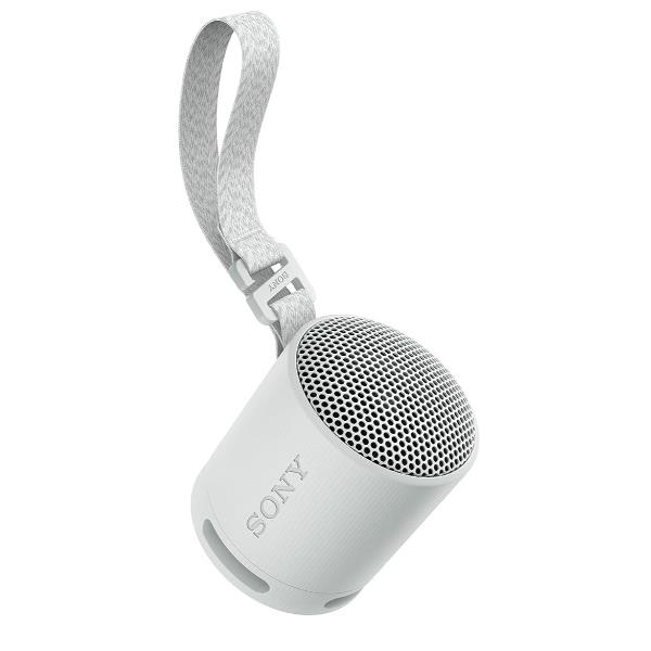 Haut-parleurs bluetooth portables Sony SRSXB100H.CE7 Gris