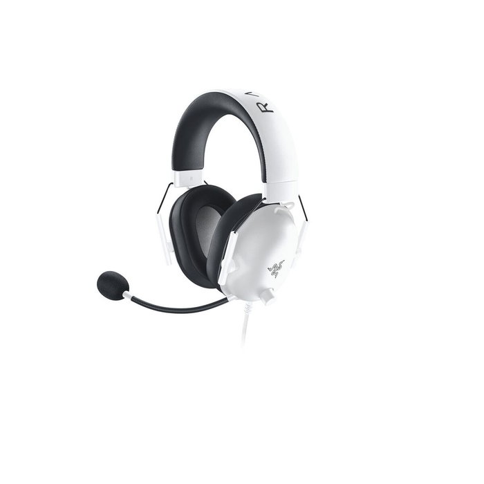 Razer Casque RZ04-03241700-R3M1