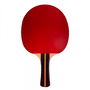 Raquette de ping-pong Softee P200