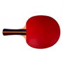 Raquette de ping-pong Softee P200