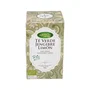 ARTEMIS BIO Thé Vert, Gingembre et Citron Bio (20 filtres)