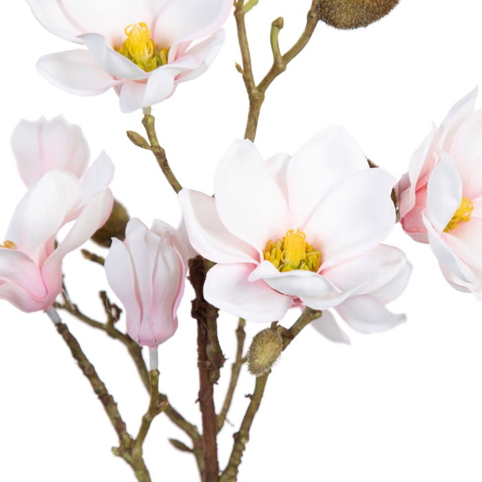 BigBuy Home Plante décorative Magnolia