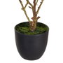 BigBuy Home Plante décorative Magnolia