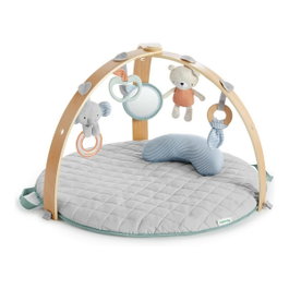 Ingenuity Cozy Spot Loamy Tapis d'éveil Gris/Vert