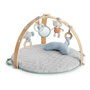 Ingenuity Cozy Spot Loamy Tapis d'éveil Gris/Vert