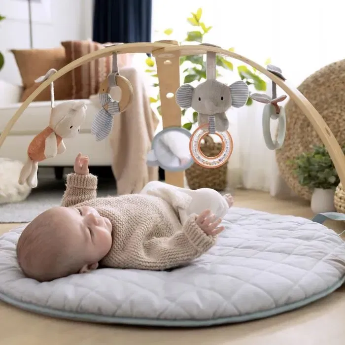 INGENUITY Tapis d'éveil réversible évolutif pour bébé Loamy - Pliable avec arche de jeu en bois amovible et 5 jouets - Cadeau pour bébé