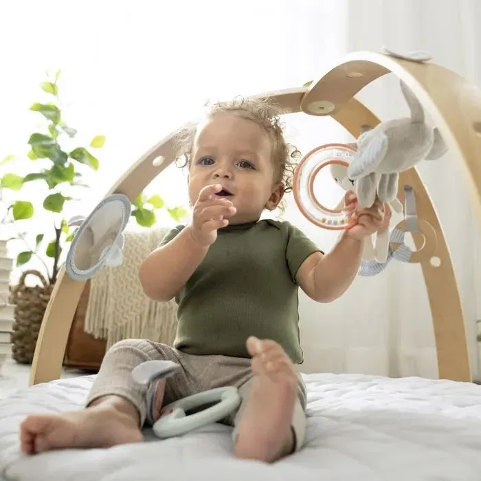 INGENUITY Tapis d'éveil réversible évolutif pour bébé Loamy - Pliable avec arche de jeu en bois amovible et 5 jouets - Cadeau pour bébé