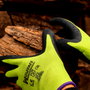 WOLFPACK LINEA PROFESIONAL Gants en latex Soft Foam Taille 7 par paire