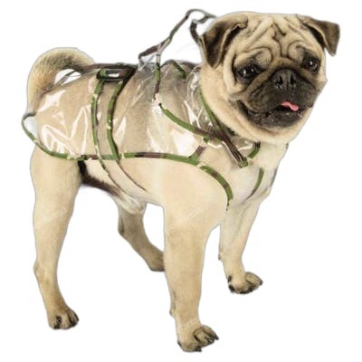 FERPLAST VET Raincoat TG 31 Raincoat Vet FERPLAST VET Raincoat TG 31 Raincoat Vet