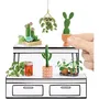 MGA Miniverse - Kit Créatif Botanicals pour Créer des Mini Plantes Décoratives en Résine - Loisirs Créatifs - Non Comestible - Dès 8 Ans