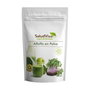 Salud Viva Alfalfa en poudre Bio 200g