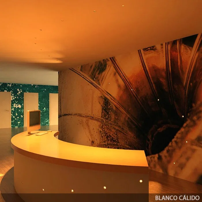 Spot LED Encastrable Circulaire Ø36mm 2W 168lm 2700K Noelle JN-S003-C-WW 30.000H Aluminium