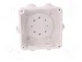 ELEKTRO-PLAST NASIELSK Boîtier de raccordement FAST-BOX blanc