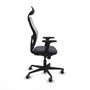Piqueras y Crespo Chaise de Bureau 2D036G1 Gris foncé avec Appui-tête