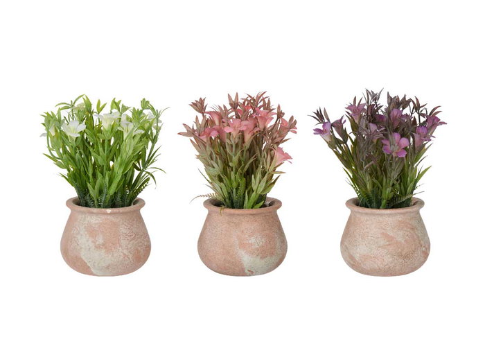 IBERGARDEN Maceta Terracota Baja con Flores Surt 3 Colores