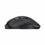 Souris Trust 25708