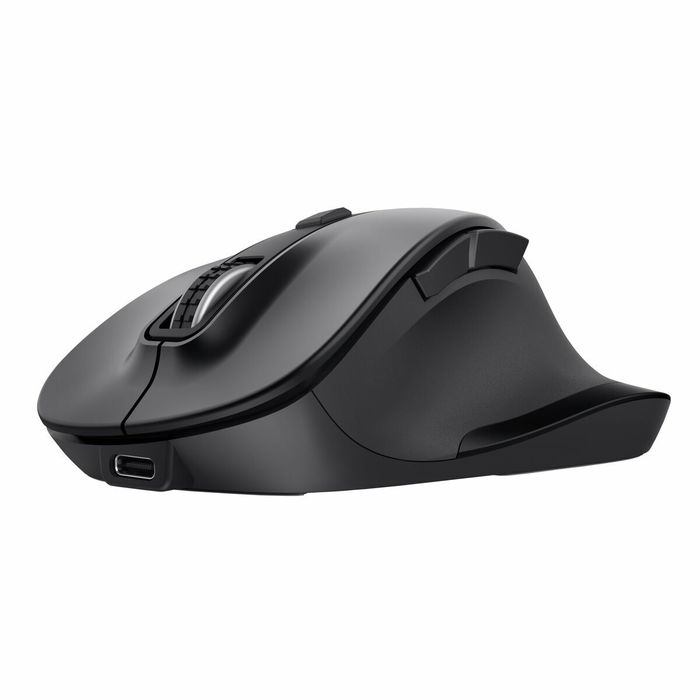Souris Trust 25708
