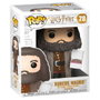 FUNKO - Figurine POP Harry Potter Hagrid avec gâteau - Figurine en vinyle de 15 cm dans sa boîte cadeau avec fenêtre
