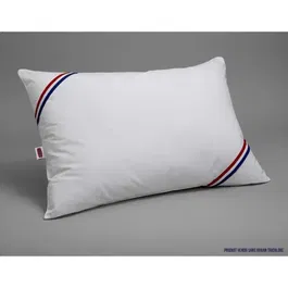 Dodo Oreiller Anti-Acariens 50x70 cm - Housse 100% Polyester Traité Anti-Acariens, Garnissage Polyester Volupt'Air