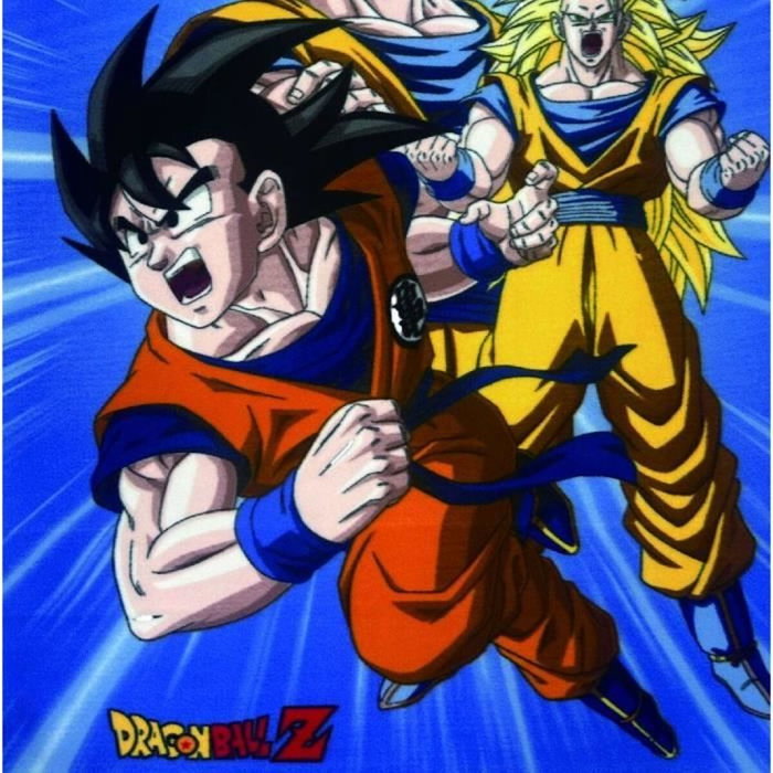 Dragon Ball Plaid polaire Dragon Ball Z 100x140 cm Dragon Ball Plaid polaire Dragon Ball Z 100x140 cm