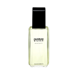 Antonio Puig Quorum Silver Eau de Toilette pour Homme 100 ml