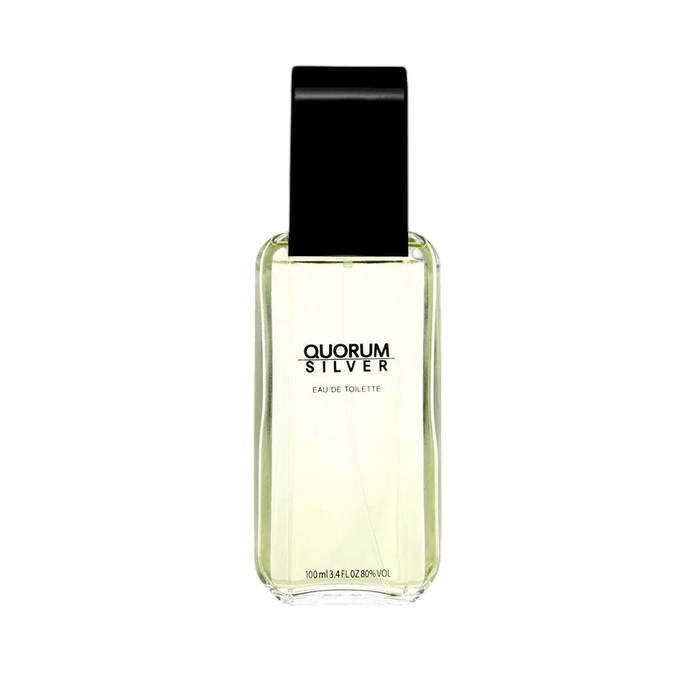 Antonio Puig Quorum Silver Eau de Toilette pour Homme 100 ml