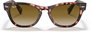 Ray Ban RB2201-133451
