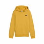 Sweat-shirt à capuche fille Puma Essentials 2 Doré 12-14 ans