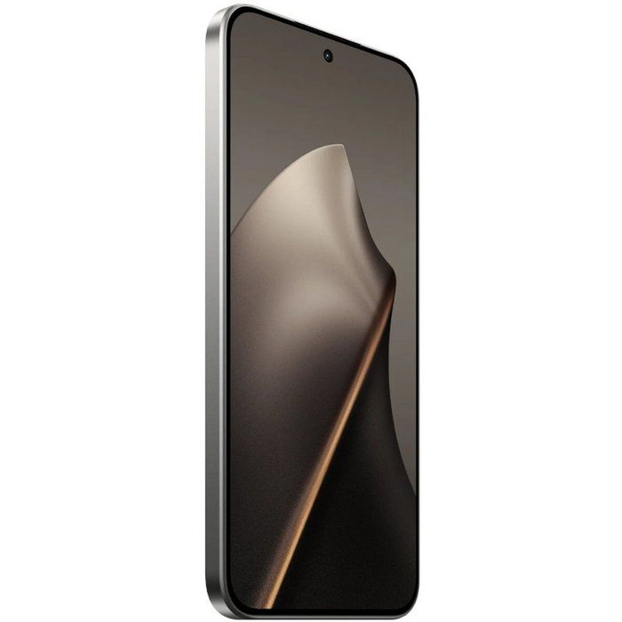 Xiaomi 15T Gris 12 GB RAM 256 GB