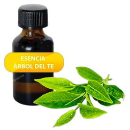 HERBI FEET Huile Essentielle d'Arbre à Thé 100 ml