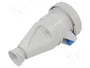 SEZ DK ISG 3232 Connecteur Femelle Alimentation AC Triphasée 32A Bleu