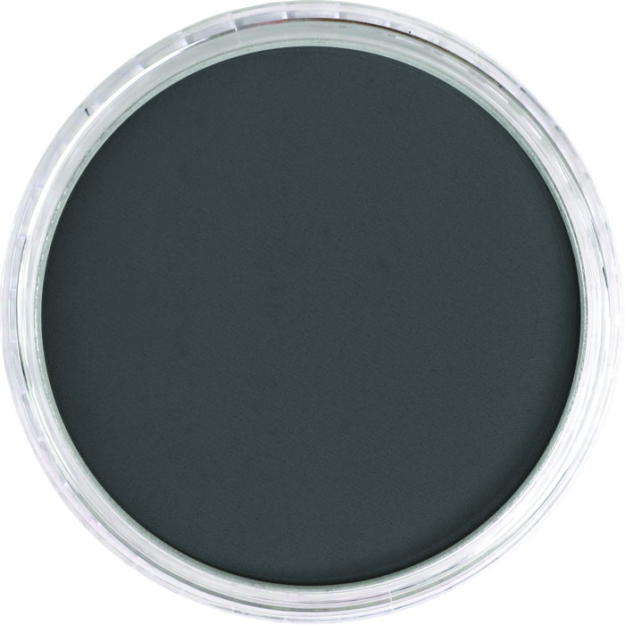 PanPastel 013 Perla Medio Noir Fin avec Effets Nacrés