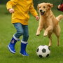 Cerdá T025 - Bottes de pluie PVC pour enfant Real Madrid - Taille 25 - Bleu