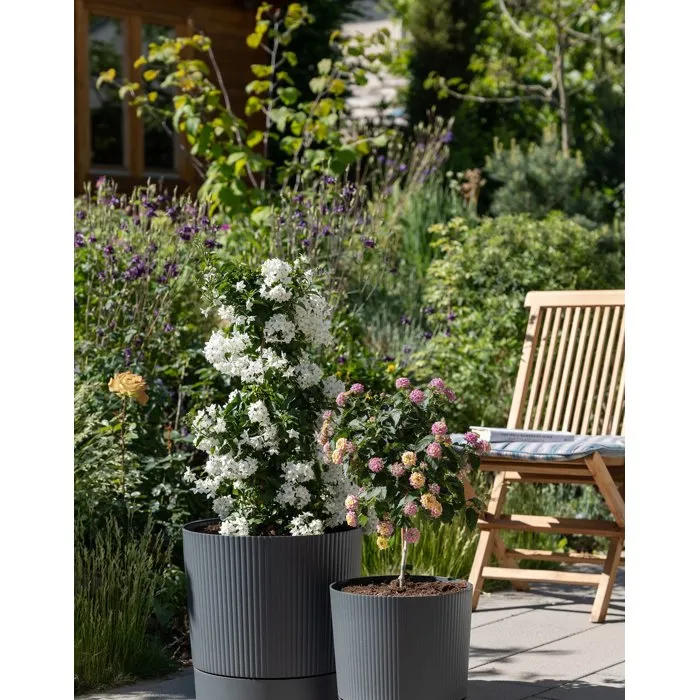 Garden Id Pot de fleurs rond avec réserve Lino Gris pure