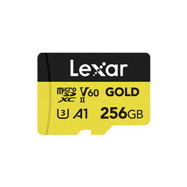 Carte Mémoire SD Lexar LMSGOLD256G-BNNNG 256 GB