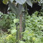 SATURNIA Protecteur Arbre Rigide 18 x 18 x 60 cm