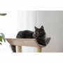 Kerbl Arbre à chat Ambiance Taupe Sisal
