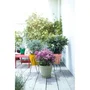 Elho Pot de fleurs rond Loft Urban, vert, Ø38,5 x H35,3 cm, réservoir d'eau intégré et roulettes, pour balcon, jardin ou terrasse